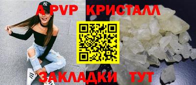 индика Гатчина