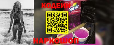 индика Гатчина