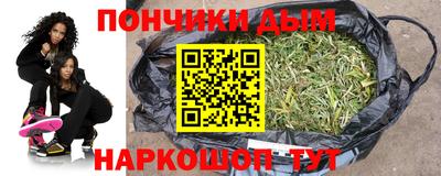 индика Гатчина