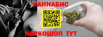 индика Гатчина