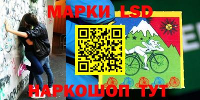 шишки Гагарин