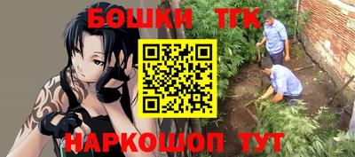 шишки Гагарин