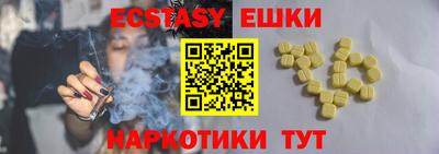 индика Гатчина