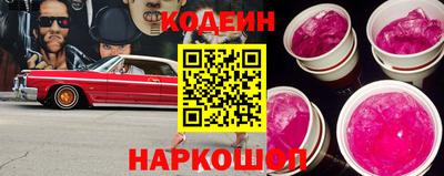 индика Гатчина
