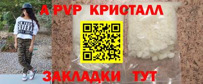 индика Гатчина